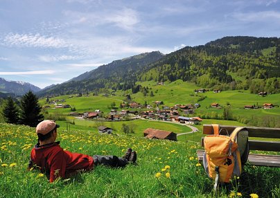 Schwarzwald Urlaub Gunstig Buchen Rewe Reisen