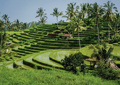 Le Méridien Bali Jimbaran