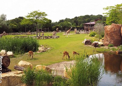 Zoo Leipzig & Légerè Express Leipzig Leipzig