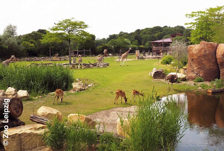 Zoo Leipzig & Légerè Express Leipzig