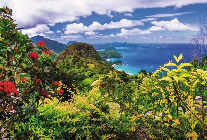 Seychellen Inselkombi