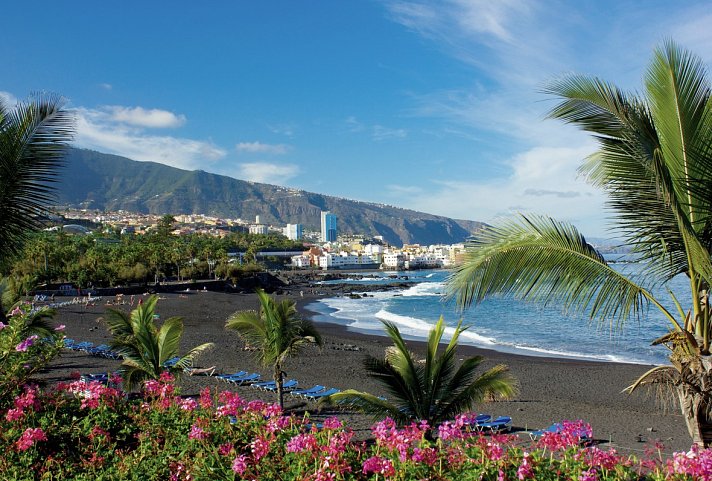 FERGUS Puerto de la Cruz