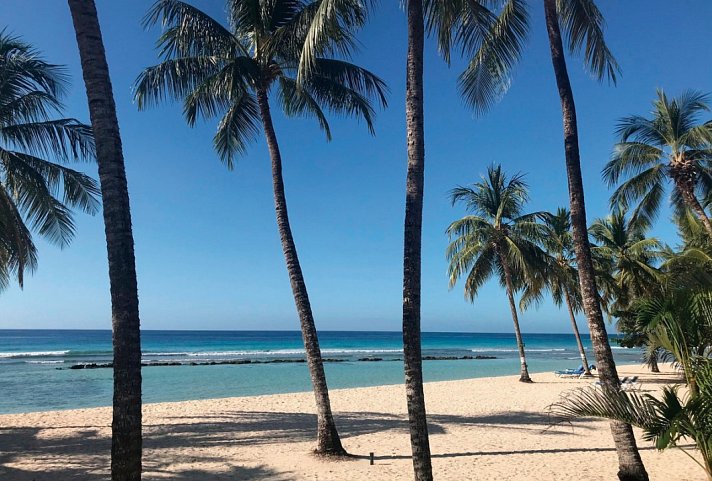 Coconut Court Beach