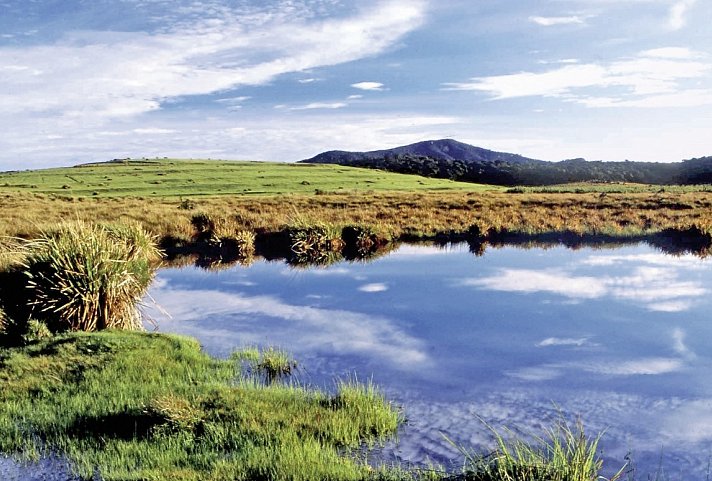 Sri Lankas kulturelle Höhepunkte und das Hochland (Privatreise)