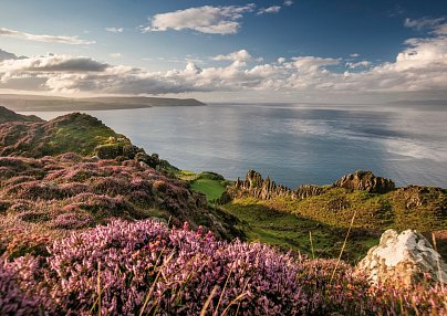 Grüne Insel Intensiv Dublin