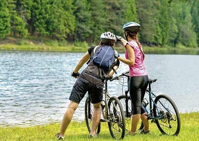 Bodensee-Radweg mit Charme Bregenz