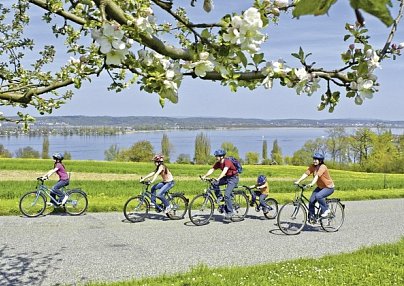 Bodensee-Radweg Klassisch Bregenz