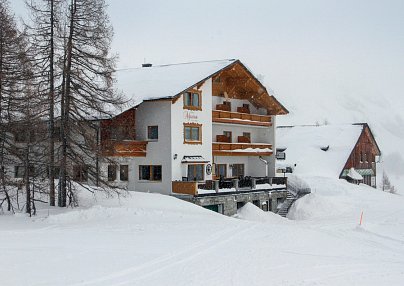 Alpenrose Tauplitz