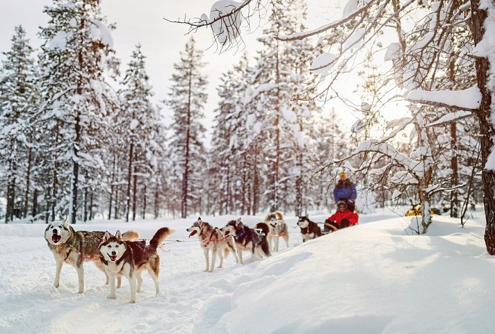 Winterlich aktiv in Schwedisch Lappland