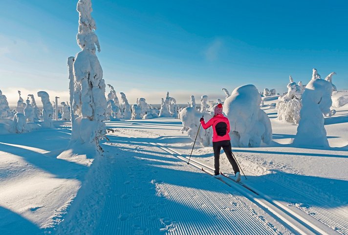 Winterlich aktiv in Schwedisch Lappland