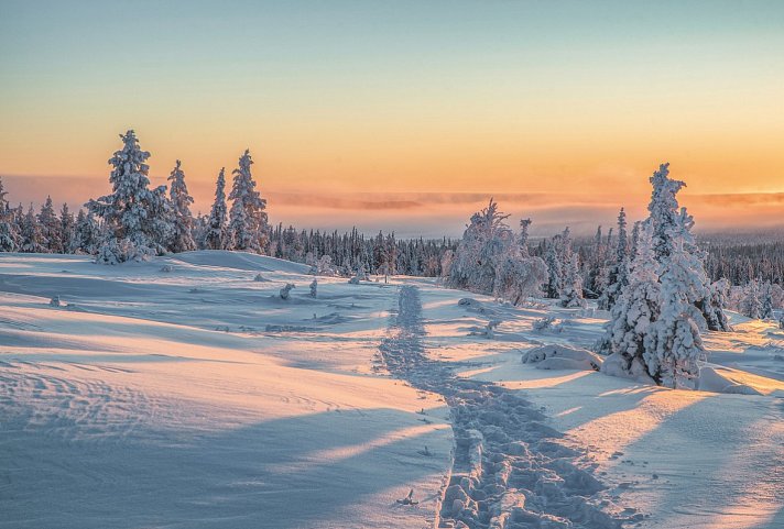 Harriniva - Das Beste von Lappland