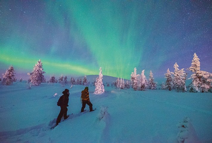 Harriniva - Auf der Suche nach dem Polarlicht