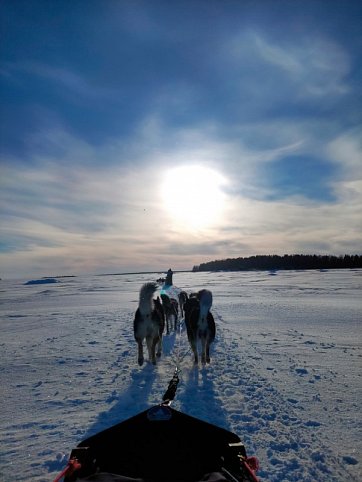 Winterwoche in Lapplands Schärenwelt