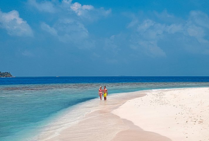 Malahini Kuda Bandos