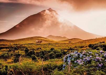 Inselspringen auf den Azoren Ponta Delgada