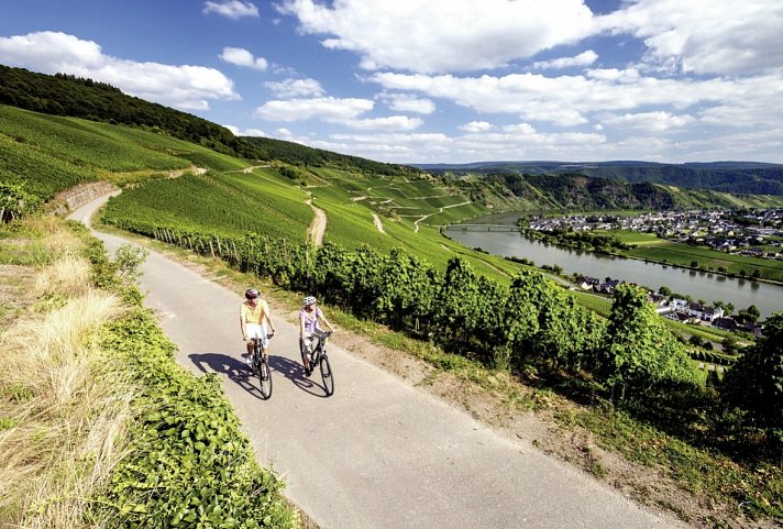 Mosel-Radweg mit Charme