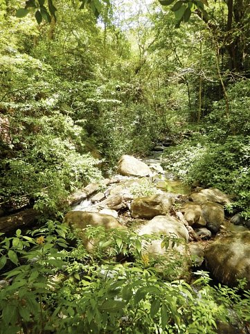 Nationalpark Rincón de le Vieja