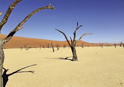 Traumreise Namibia Windhoek