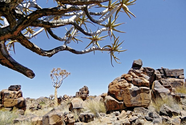 Best of Namibia (Autoreise) (ehemals Facettenreiches Namibia für Selbstfahrer)