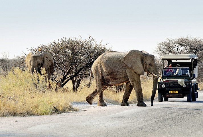 Namibia Entdeckungstour (nördliche Richtung)