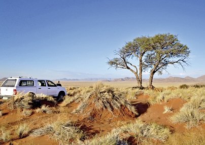 Tiere und Kultur des Nordens Windhoek