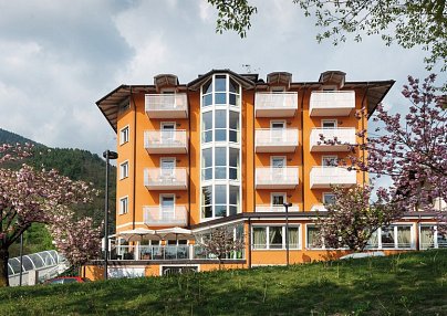 NatureBio Hotel Elite Levico Terme