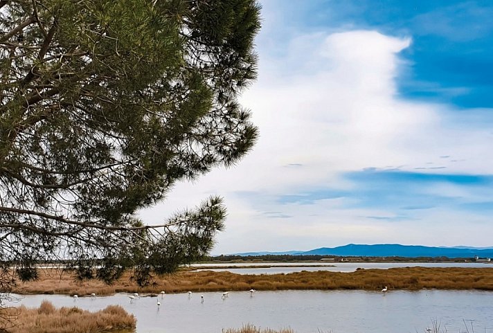 Camping S'Ena Arrubia (by Happy Camp)