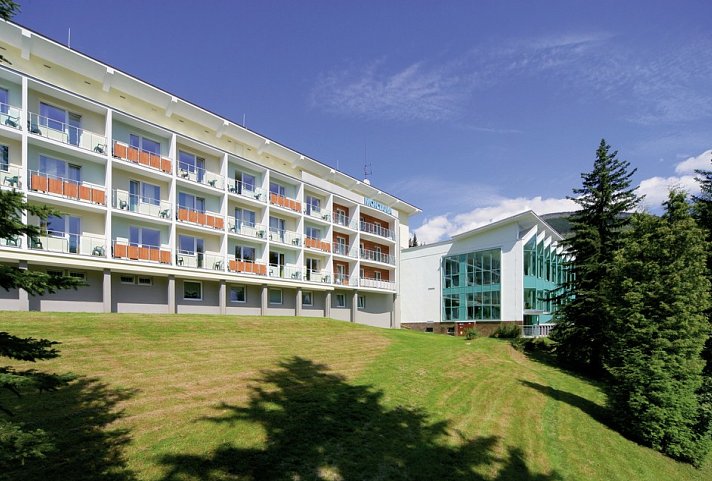 Interhotel Montana