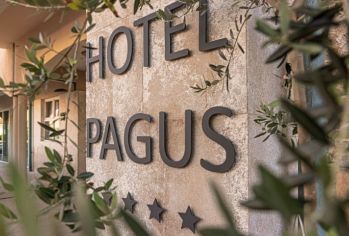 Hotel Pagus