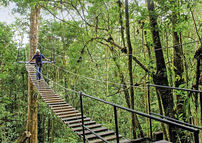 Costa Rica - Auf der Suche nach den Faultieren San Jose