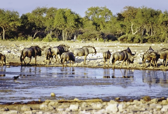 Kontrastreiches Namibia