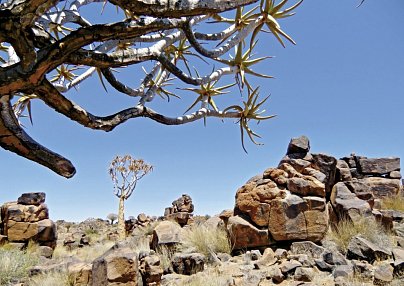 Best of Namibia (Autoreise) (ehemals Facettenreiches Namibia für Selbstfahrer) Windhoek