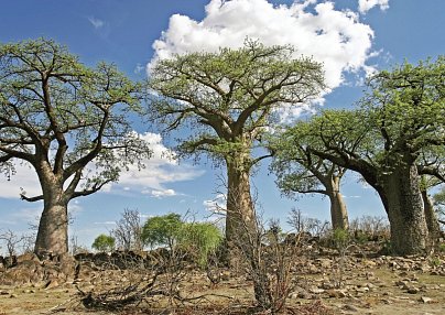 Sensation Canyons und Wüsten Standard Windhoek